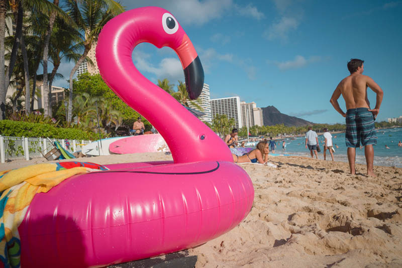 Street Photography and Ricoh GR III-3-Waikiki Hawaii-_T002062-flamingo