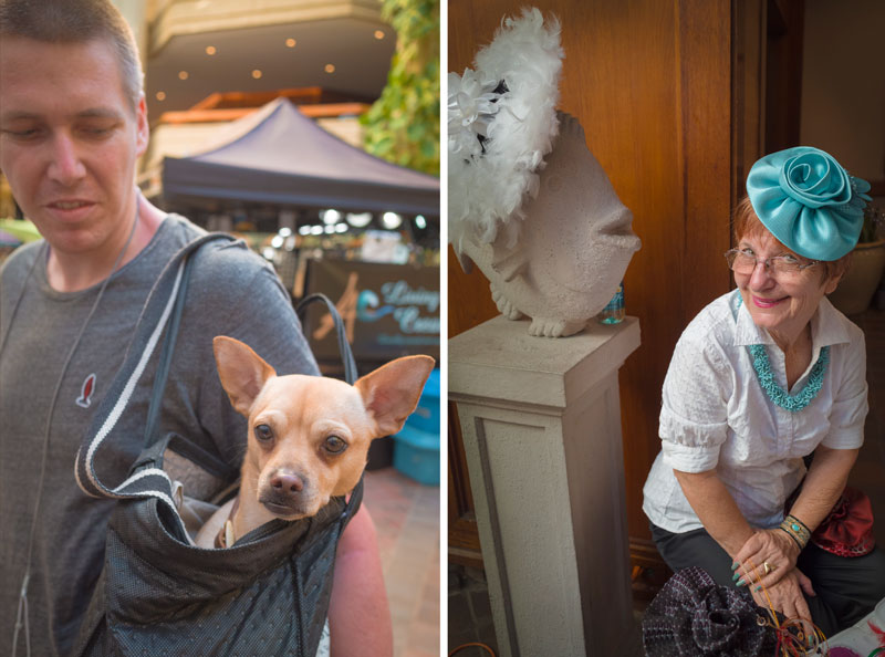 Street-Photography-and-Ricoh-GR-III-3-Waikiki-Hawaii-_T002161-dog-and-portrait-2