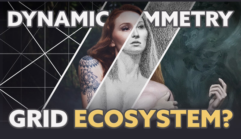 dynamic-symmetry-grid-package-intro-for-beginners-ecosystem