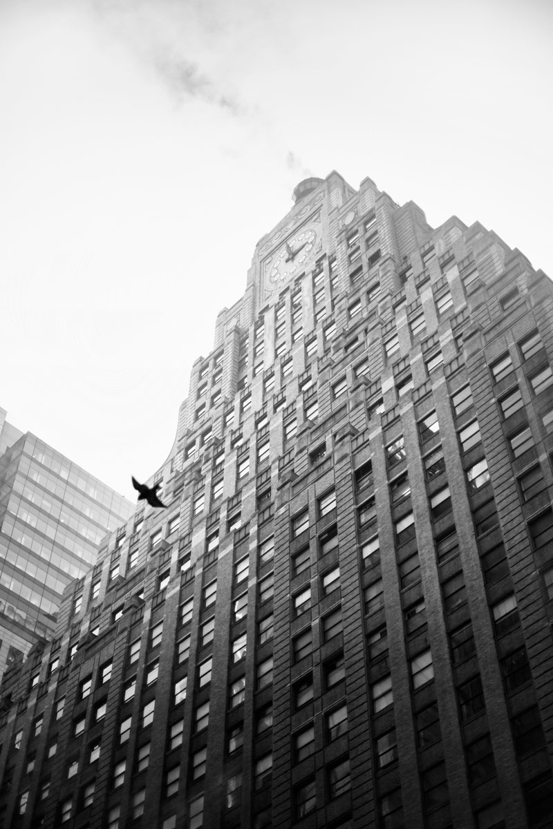 Time-Flies--New-york-2013-by-Tavis-Leaf-Glover