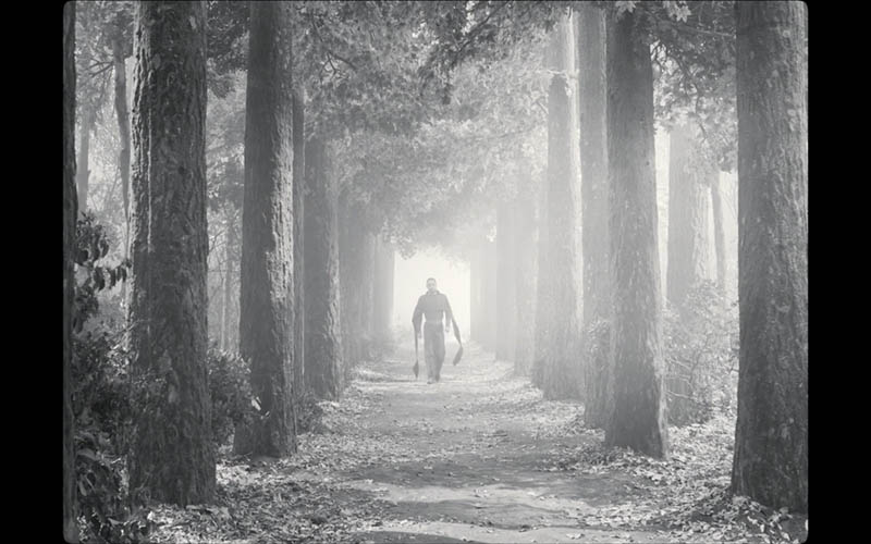 the tragedy of macbeth-stunning cinematography analyzed-Centered-005