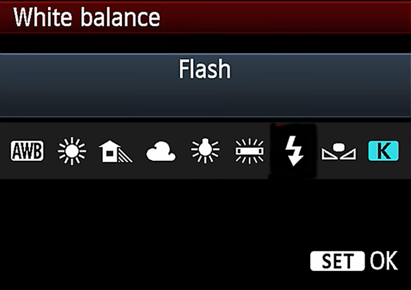 photography-composition-white-balance-options-on-camera