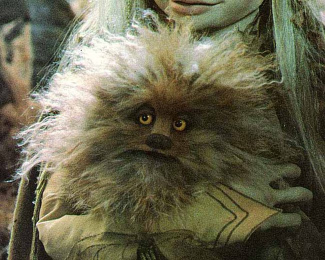 fizzgig2