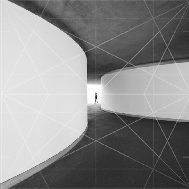 MarioPereira-cropgrid