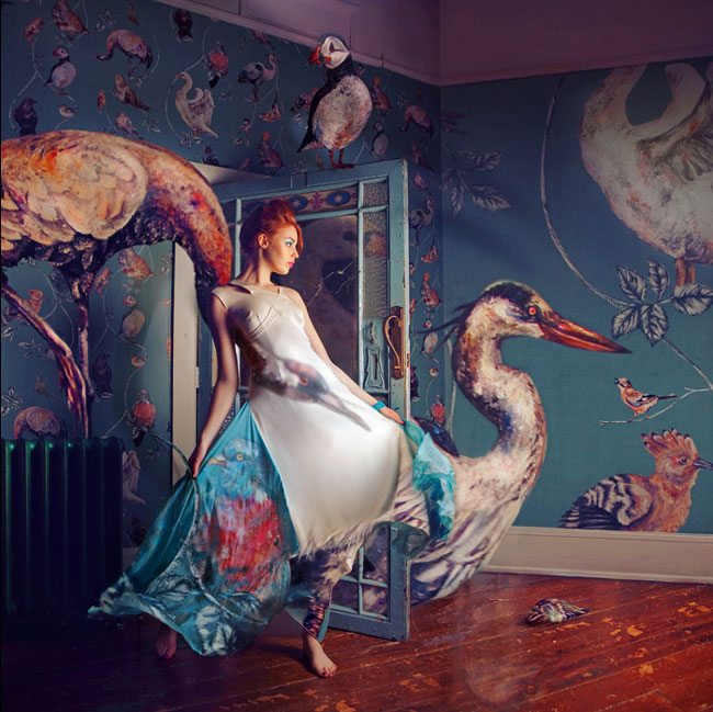 Miss-Aniela-birdFashion