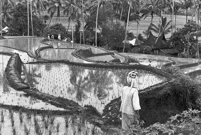 Henri-Cartier-Bresson---Sumatra,-Indonesia,-1950