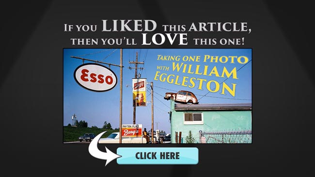 If-you-liked-then-youll-love-taking-one-photo-with-william-eggleston-colorist