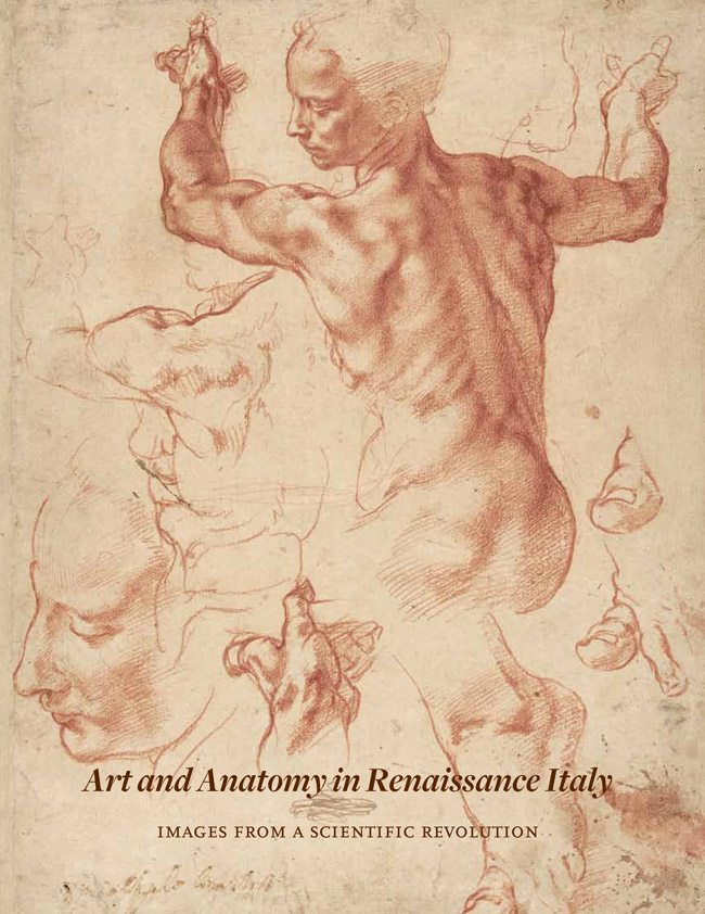 Art_and_Anatomy_in_Renaissance_Italy_Images_from_a_Scientific_Revolution-1