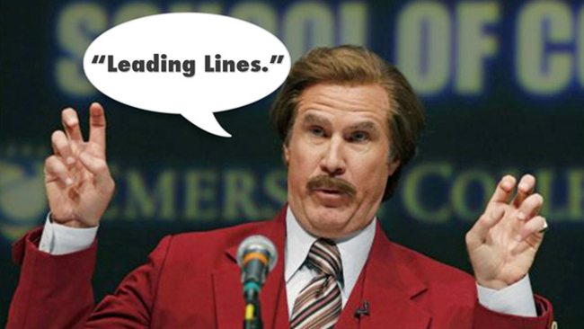 Leading-Lines-Will-Ferrell