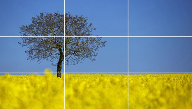 Rule-of-Thirds-Tree