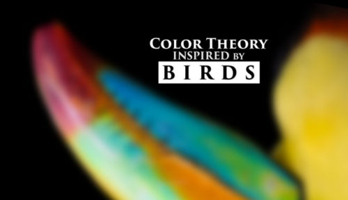 Photography-or-Painting-color-theory-intro