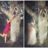 gestalt-psychology-law-of-pragnanz-tree-face-mandy-800px-55q