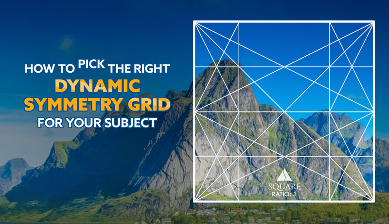 How to Pick the Right Dynamic Symmetry Grid for Your Subject – A Simple Step by Step Guide