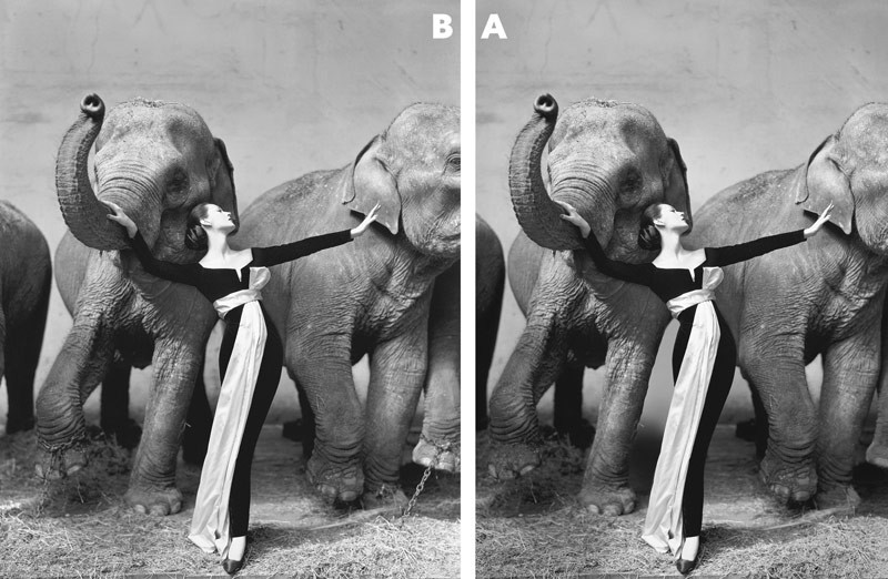 Why Fashion Photography Needs Classical Design-Richard-Avedon-ba