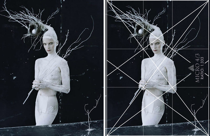 Why Fashion Photography Needs Classical Design-tim-walker-FGR-grid