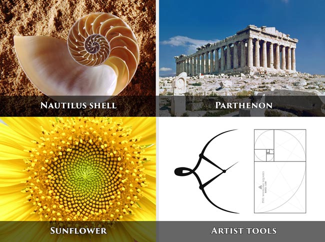 golden-ratio-in-nature-and-structures-Parthenon-nautilus-shell-sunflower-phi