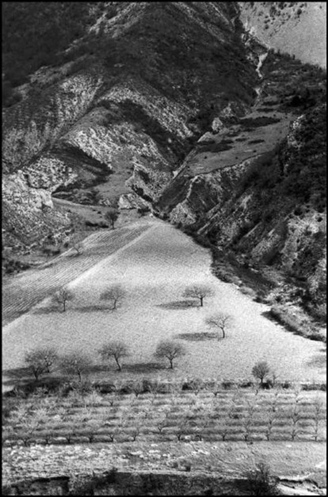 Martine Franck photography analysis by Tavis Leaf Glover